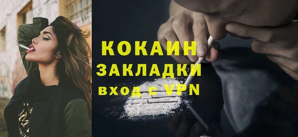 дмт Верея