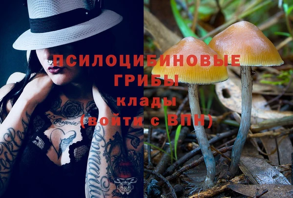дмт Верея