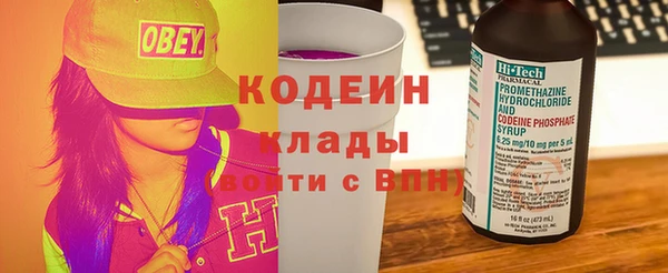 дживик Болотное