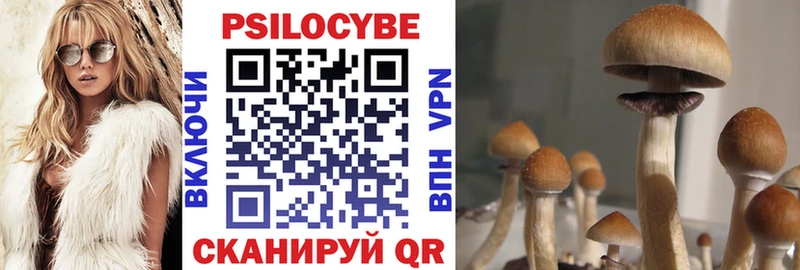 Псилоцибиновые грибы MAGIC MUSHROOMS  hydra рабочий сайт  Георгиевск 